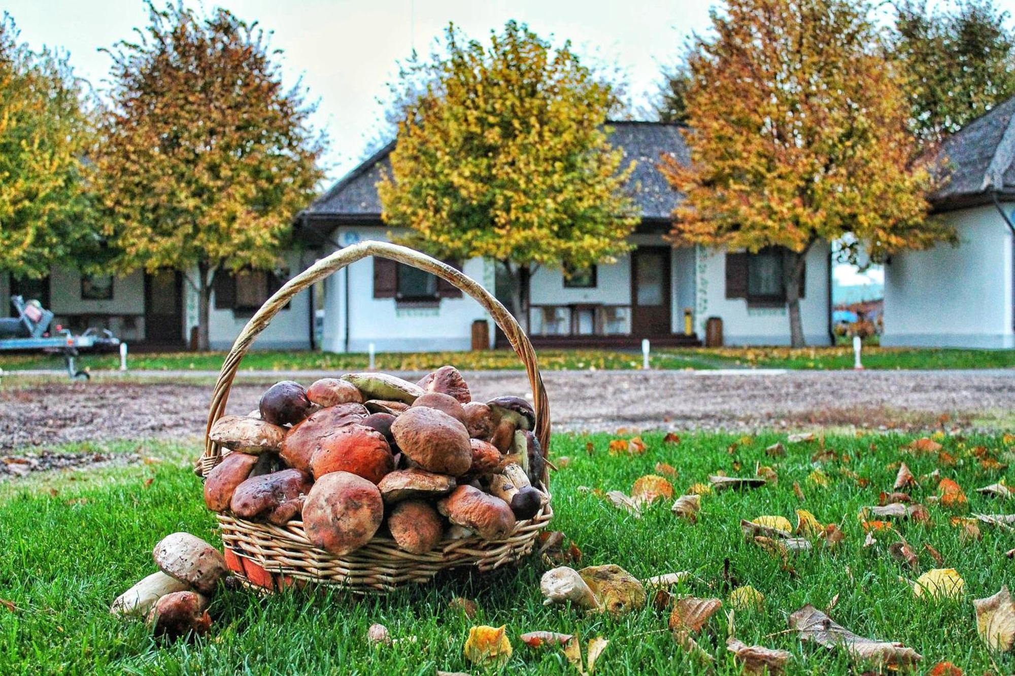 Bereg Holiday Park Svetlogorskoye Buitenkant foto