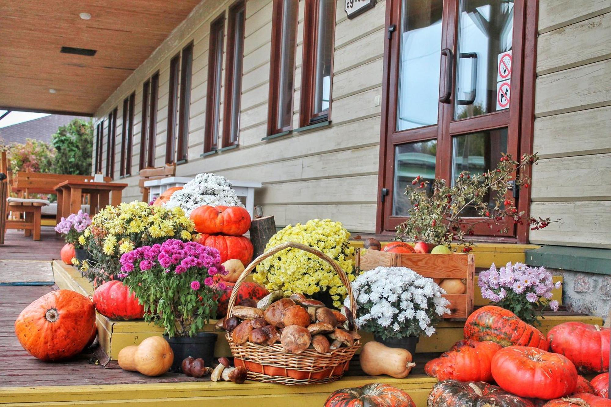 Bereg Holiday Park Svetlogorskoye Buitenkant foto